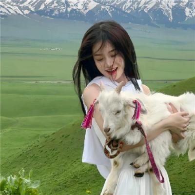 圆盘皇女 十二月夜想曲